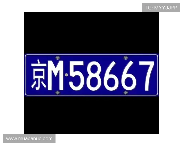 TVT体育在线登录页面最新更新,确保用户顺畅访问和账号信息安全